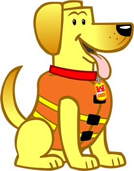 Bobber the Water Safety Dog